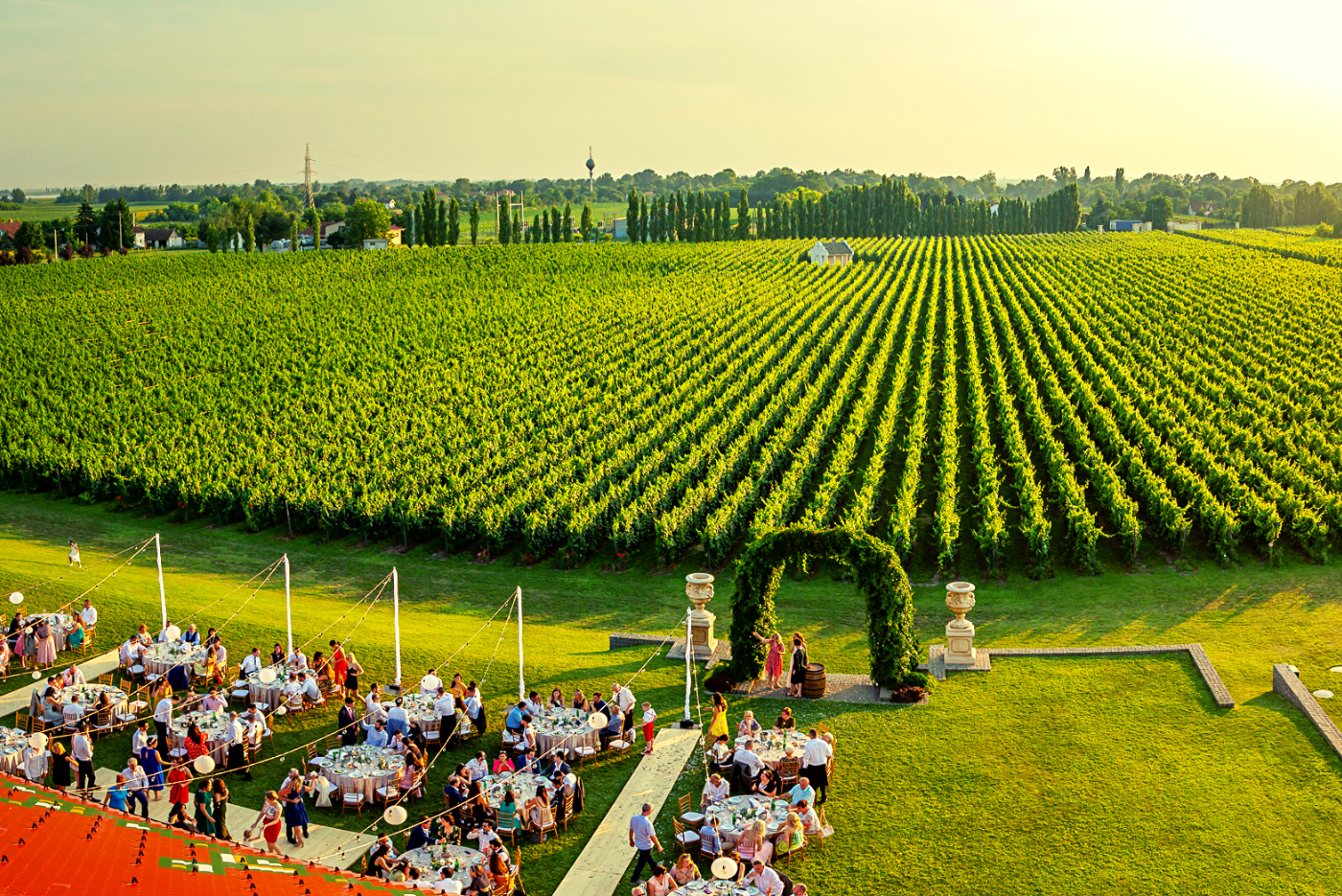 vinarija-zvonko-bogdan-vinoteka-beograd